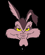 Wile E. Coyote
